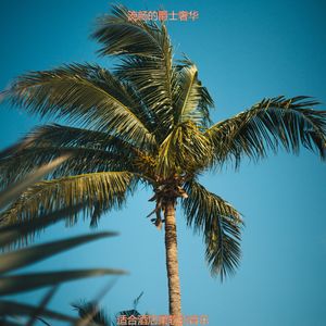 适合酒店愉悦的音乐