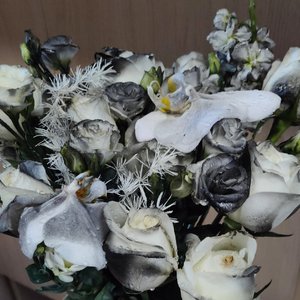 我看过… (1).mp3