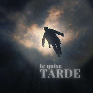 Te quise tarde