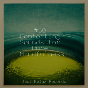 Desert's Secret Solace