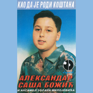 Stani, stani Ibar vodo
