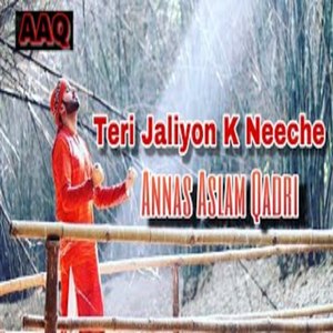 Teri Jaliyon K Neeche