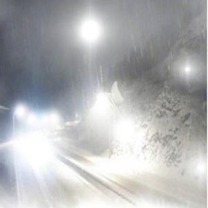 简单爱(Prod.michiyo )