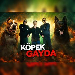 KÖPEK GAYDA