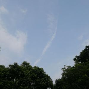 广东十年爱情故事