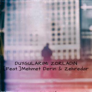 Duygularımı Zorladın (feat. Zehredar)