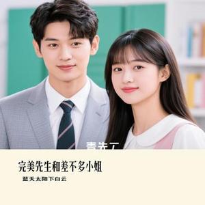 完美先生和差不多小姐 (Cover 花粥)