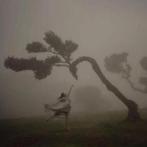 你是自由的风我是木讷的树