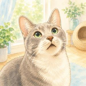 君との毎日