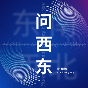 问西东