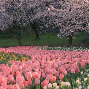 《三号线吉他版》翻唱