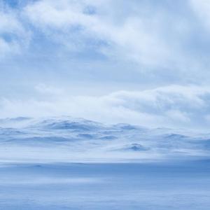 I bought it much too dear