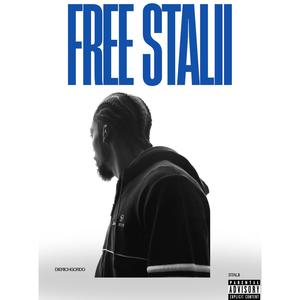 FREE STALII (2014) (feat. Stalii)