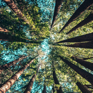 The open river stream