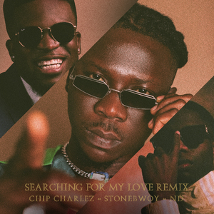 Searching For My Love (Remix)