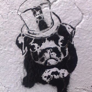 petalwave chapterful