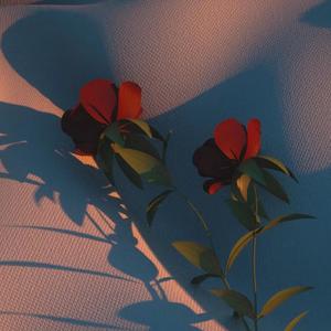 别说不堪（有蜘蛛感应的派大星 remix）