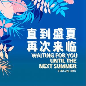 直到盛夏再次来临
