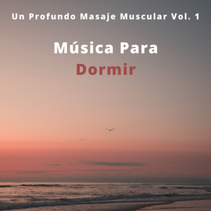 Meditación Antes De Dormir