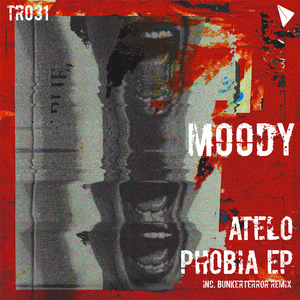 Oblique Lifestyle (Bunkerterror Remix)