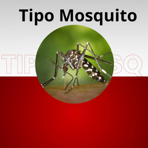 Tipo Mosquito