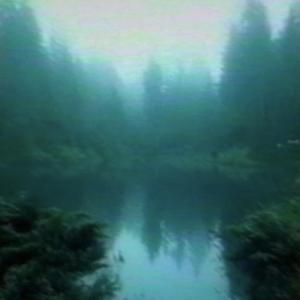 NothingTheyClaimToBe