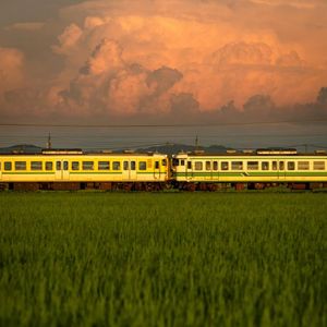 拼了命也要留在身边的人