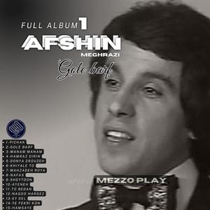 Hamsayeh afshin meghrazi