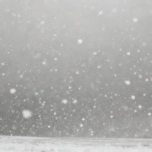 灰色飞雪