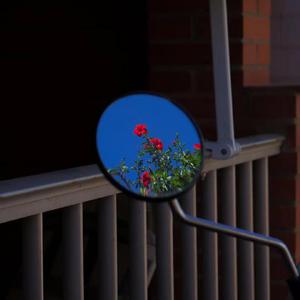 世界上不存在的歌(cover高睿)