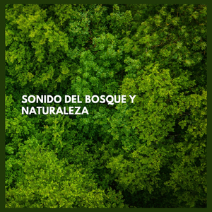 Sonido del Bosque y Naturaleza, Pt. Ocho
