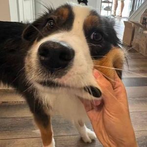 愿君心向繁星与梦