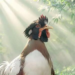 黄龄 / 秣陵安-星河叹(裁缝版)