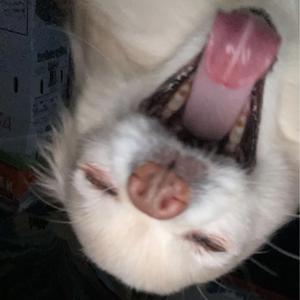 BIG BABY (feat. Lyss)