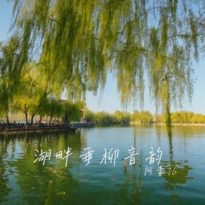灵羽幻梦