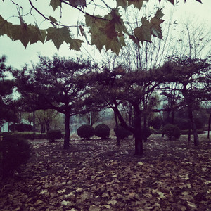 如果大海变成山坡