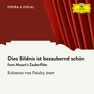 Mozart: Die Zauberflöte, K. 620 / Act 1 - Dies Bildnis ist bezaubernd schön