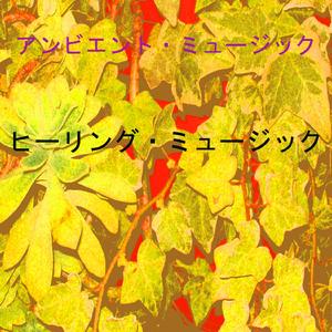 ???????????? 11 (?????????????)