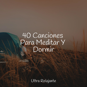 Burbujas En El Tiempo