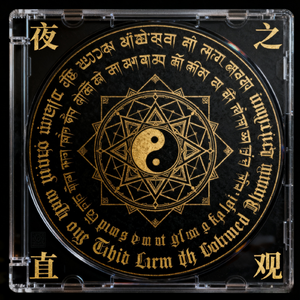 夜之直观 内感直观录