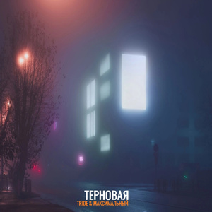 Терновая
