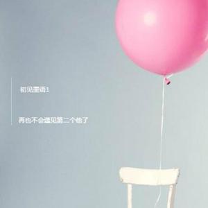 再也不会遇见第二个他了（翻自 李哈哈）