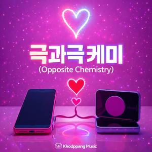 극과극 케미 (Opposite Chemistry)
