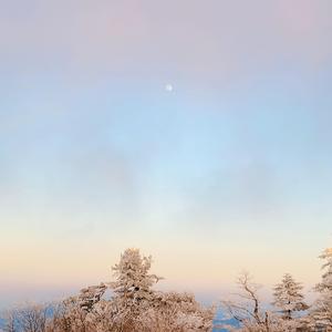 올해를 보내며
