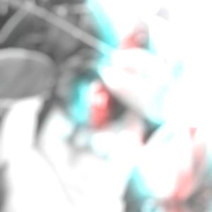 A Day We Turn to This World