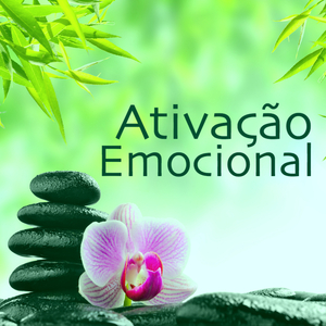 Musica para Meditação Diaria