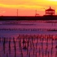 开开心心走四季