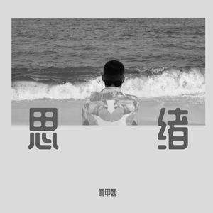 思绪dome