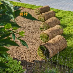 不落的夜幕 (竖琴)