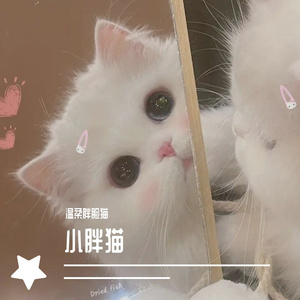 Sunset/Sunrise（温柔吉他版）